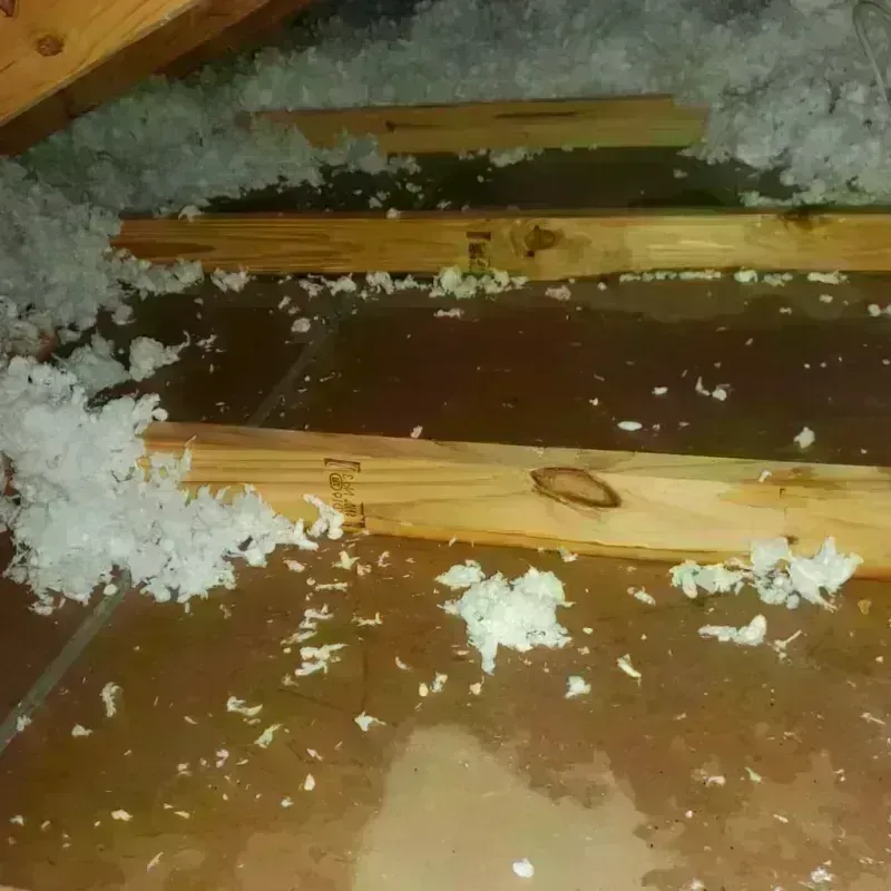 Attic Water Damage in Bond County, IL